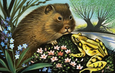 El ratón de agua de English School