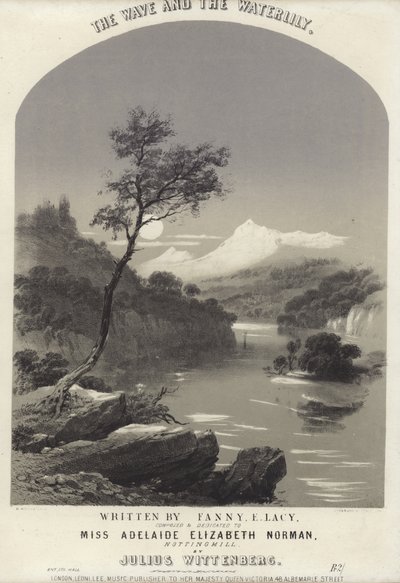 La ola y el nenúfar de English School