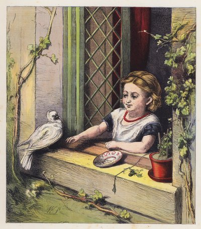 La paloma blanca (litografía en color) de English School