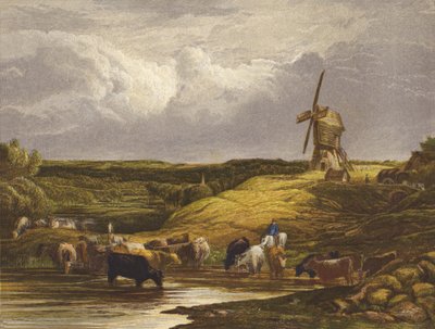 El molino de viento de English School