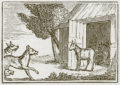 Los lobos y el asno enfermo (grabado) de English School