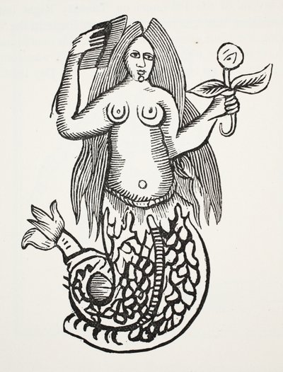 La maravilla de las maravillas, ilustración de Chap-books del Siglo XVIII de John Ashton, pub. 1882 de English School