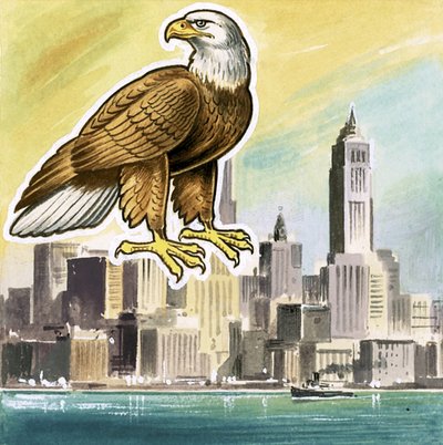 El águila calva, emblema de los Estados Unidos de English School