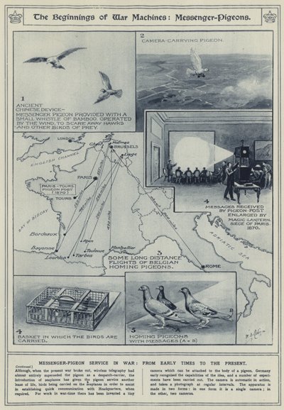 Los comienzos de las máquinas de guerra, palomas mensajeras, servicio de palomas mensajeras en la guerra, desde tiempos antiguos hasta el presente de English School