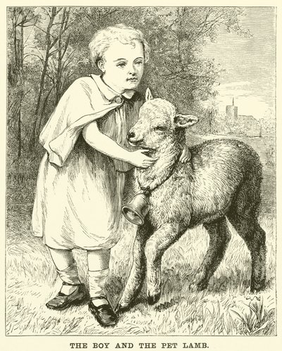El niño y el cordero mascota de English School