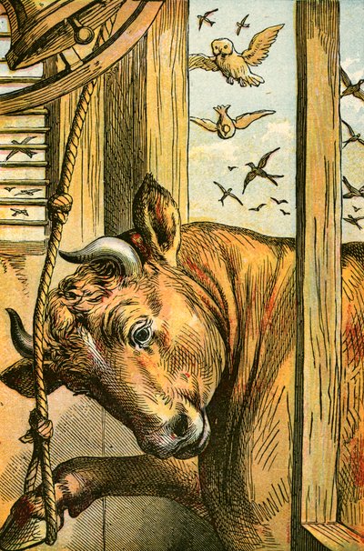 El toro tocando la campana de English School