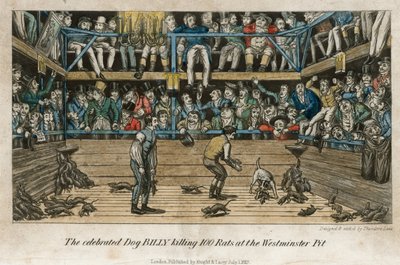 El célebre perro Billy mata 100 ratas en el foso de Westminster (grabado en color) de English School