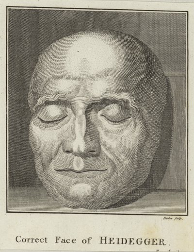 El rostro correcto de Heidegger de English School