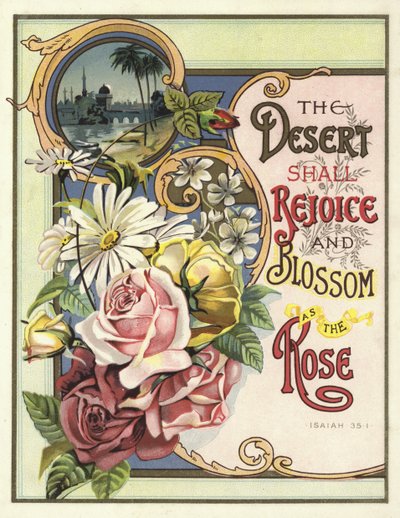 El desierto se alegrará y florecerá como la rosa de English School