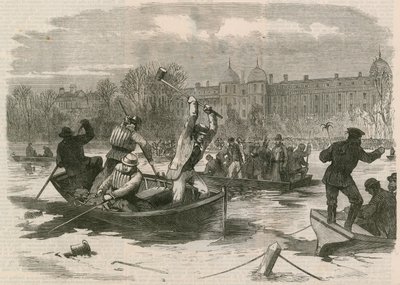 El desastre en el hielo en Regents Park; Dragando el lago en busca de los muertos de English School