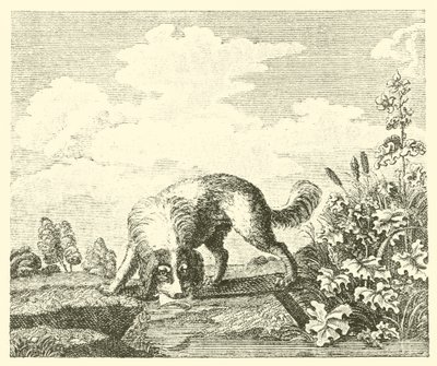 El perro y la sombra (grabado) de English School