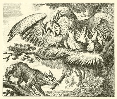 El águila y el zorro (grabado) de English School