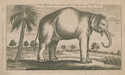 El elefante presentado a Sus Majestades de English School