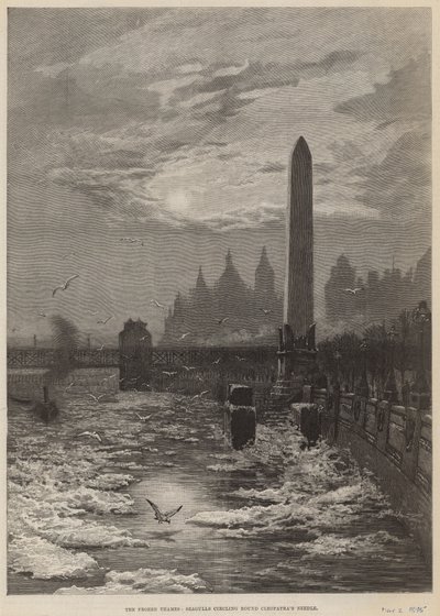 El Támesis congelado - gaviotas girando alrededor de la Aguja de Cleopatra de English School