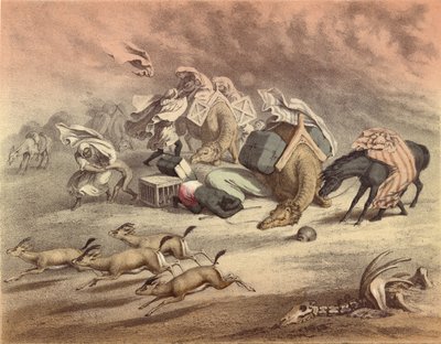El gran desierto africano, caravana de camellos, caballos y burros, sorprendidos por el Simoom, gacelas asustadas de English School