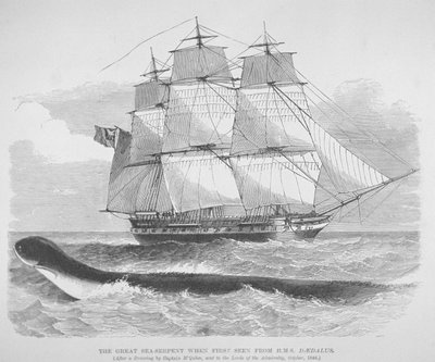 La gran serpiente marina vista por primera vez desde el HMS Daedalus en 1848, c.1848 (grabado) de English School