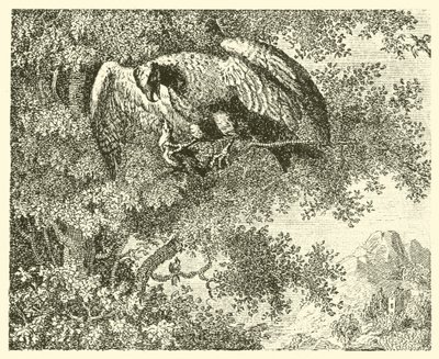 El halcón y el ruiseñor (grabado) de English School