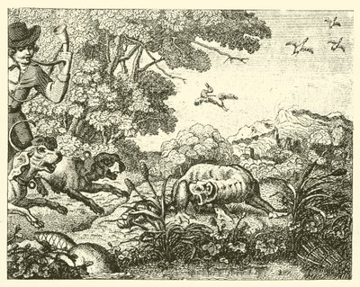 El castor cazado (grabado) de English School