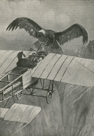El rey del aire se encuentra con un invasor de English School