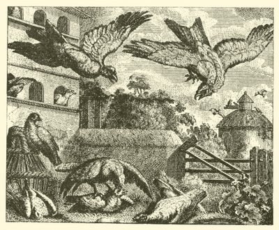 La cometa y las palomas (grabado) de English School