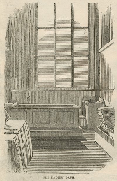 El baño de damas de English School