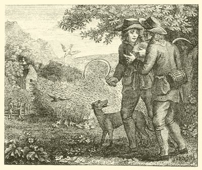 La alondra y sus crías (grabado) de English School