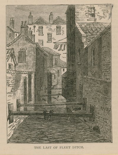 El último de Fleet Ditch de English School