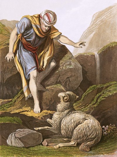 La oveja perdida de English School