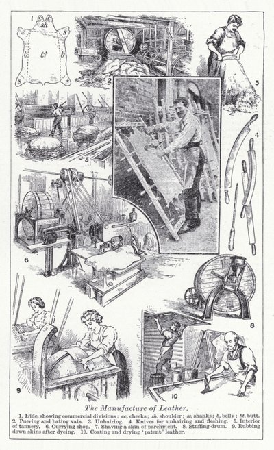La fabricación de cuero de English School