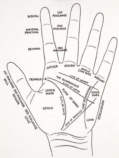 El monte aras de la mano de English School