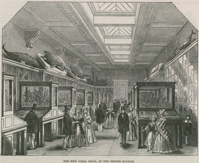 La nueva Sala de Coral en el Museo Británico de English School