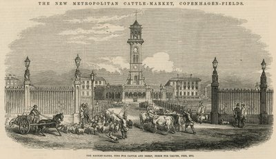 El nuevo Mercado de Ganado Metropolitano, Campos de Copenhague de English School