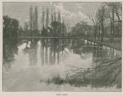 El nuevo parque público en Highgate: el lago de English School