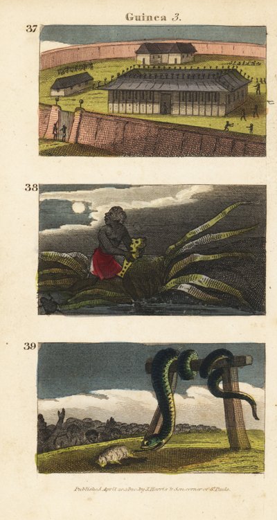 El palacio del Rey de Dahomey en Abomey, un hombre africano escondiendo un fetiche y personas de Whydah adorando una gran serpiente de English School