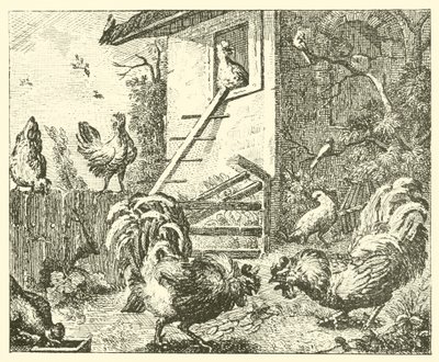 La perdiz y los gallos (grabado) de English School