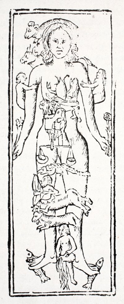 Las partes del cuerpo que controlan cada signo del zodiaco de English School