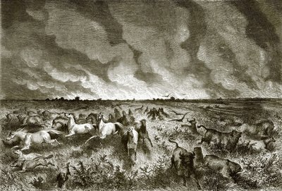 La pradera en llamas de English School