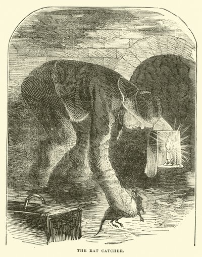 El cazador de ratas de English School