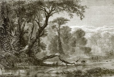 El río Fasis de English School