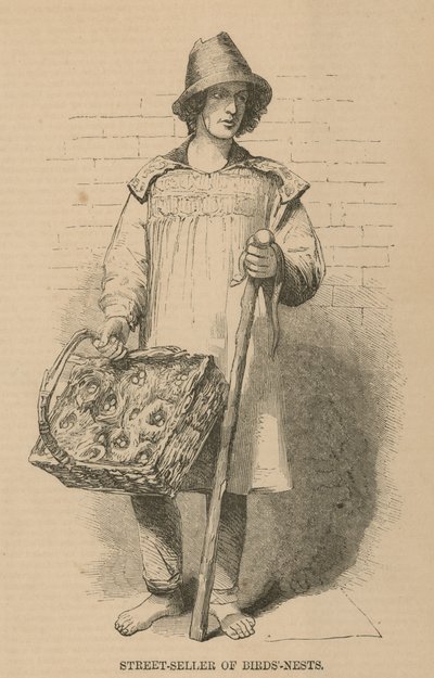 El vendedor ambulante de nidos de pájaros de English School