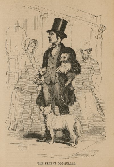 El vendedor ambulante de perros de English School