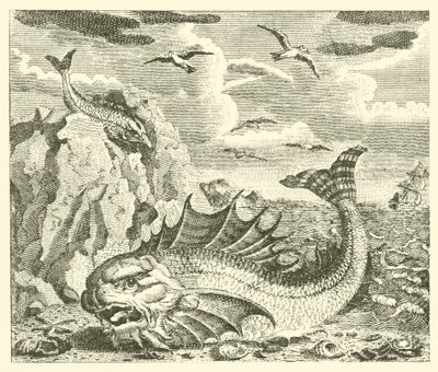El atún y el delfín (grabado) de English School