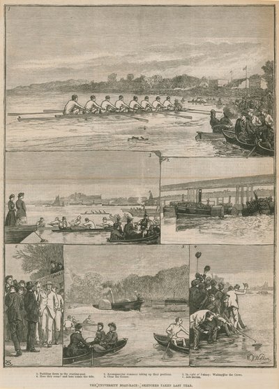 La carrera de botes universitarios de English School
