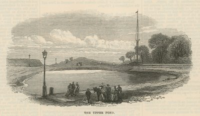 El estanque superior, Hampstead Heath de English School