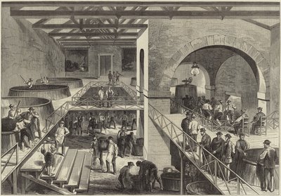 La vendimia de Medoc de English School