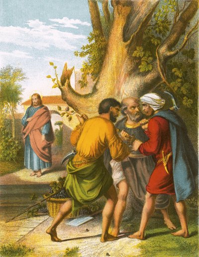 Los viñadores malvados de English School