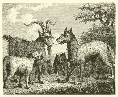 El lobo, el cordero y la cabra (grabado) de English School