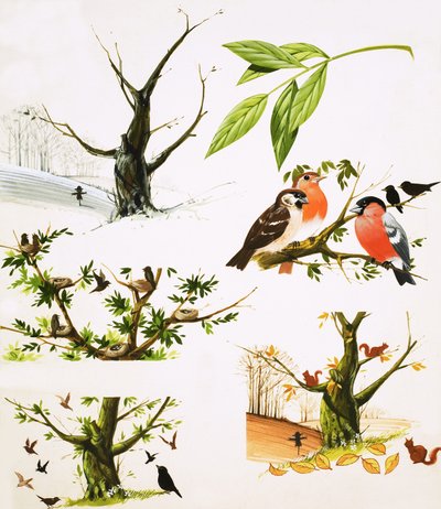 El año del árbol de English School