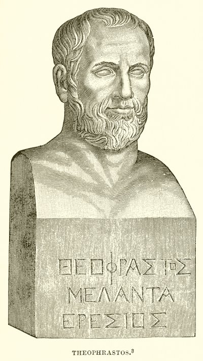 Teofrasto de English School