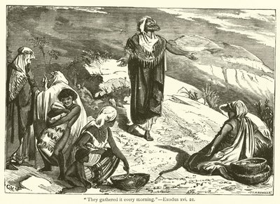 "Lo recogían cada mañana", Éxodo, xvi, 21 de English School